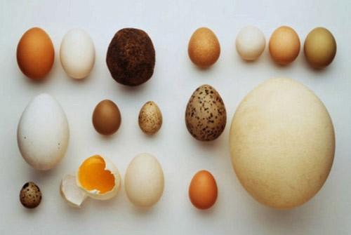 Trứng vịt là món ăn bổ dưỡng